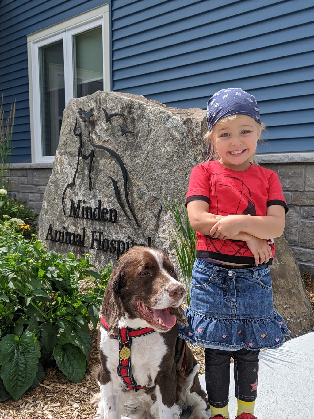 MINDEN ANIMAL HOSPITAL | 4 Booth St, Minden, ON K0M 2K0, Canada | Phone: (705) 286-2919