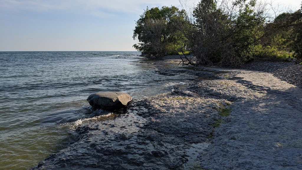 The Friends of Presqu’ile Park | Presquile Point, Brighton, ON K0K 1H0, Canada | Phone: (613) 475-1688