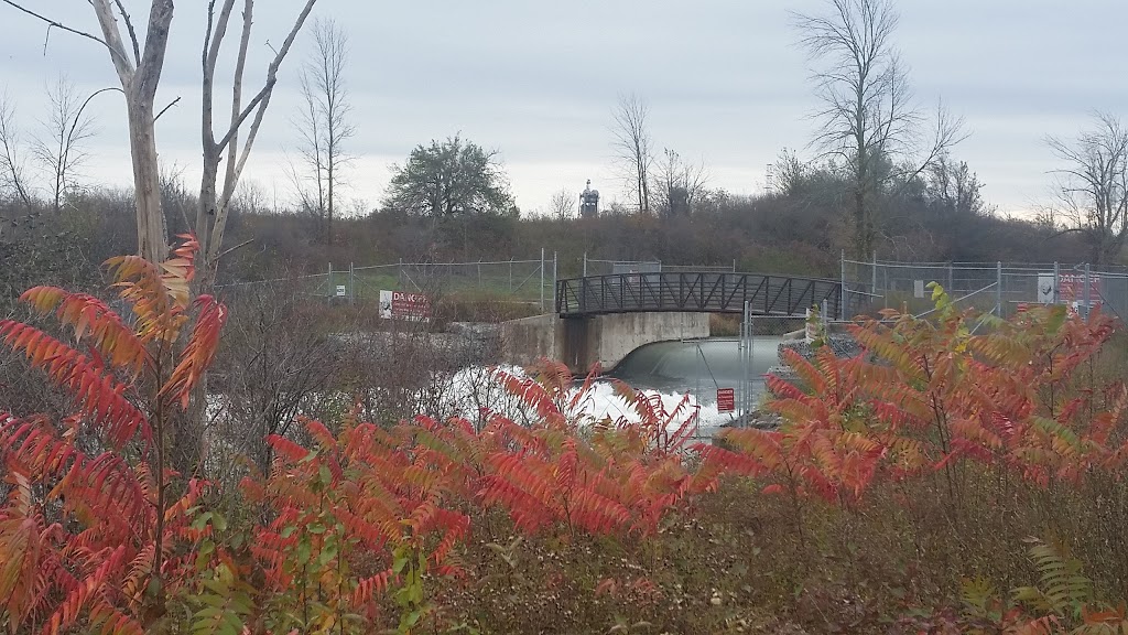 Bruce Trail | Unnamed Road, Fonthill, ON L0S 1E6, Canada