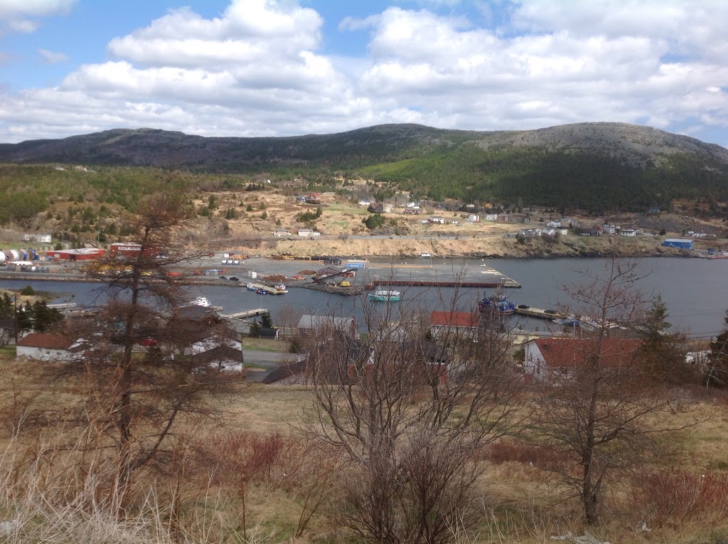 Paddys | Main Rd, Bay Bulls, NL A0A 1C0, Canada | Phone: (709) 334-2081