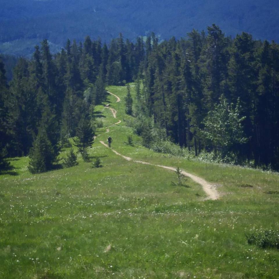 West Bragg Creek Day Use Area | Kananaskis, AB T0L 0K0, Canada