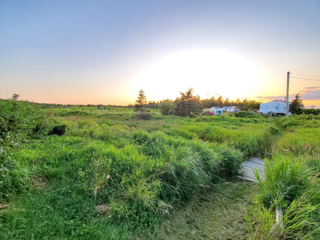 Chez les Maury Camping - Vignoble | 2021 NB-475, Saint-Édouard-de-Kent, NB E4S 4W2, Canada | Phone: (506) 743-5347