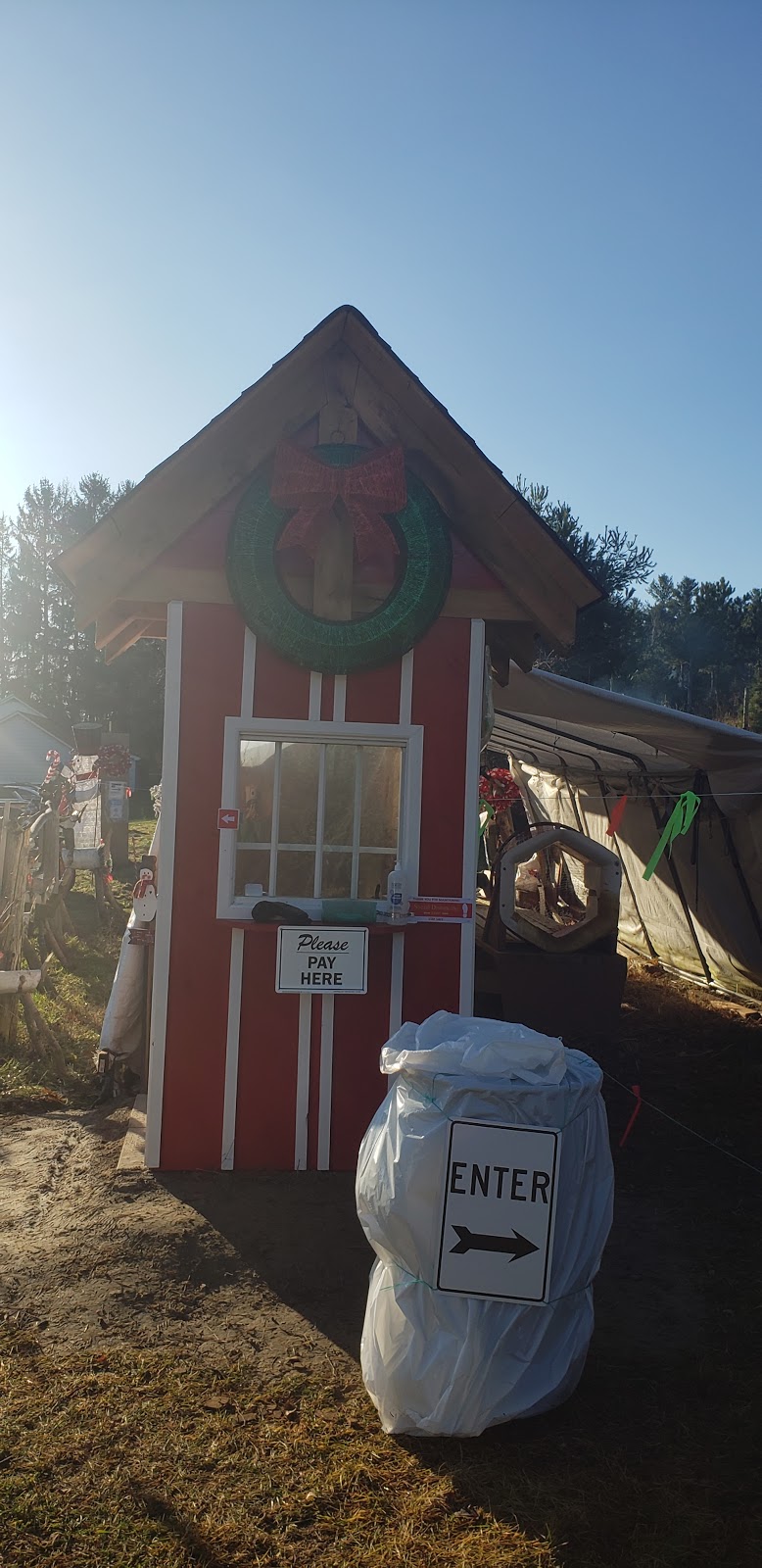 MacPherson Christmas Tree Farm | 17422 ON-48, Whitchurch-Stouffville, ON L4A 1Z1, Canada | Phone: (905) 717-0499