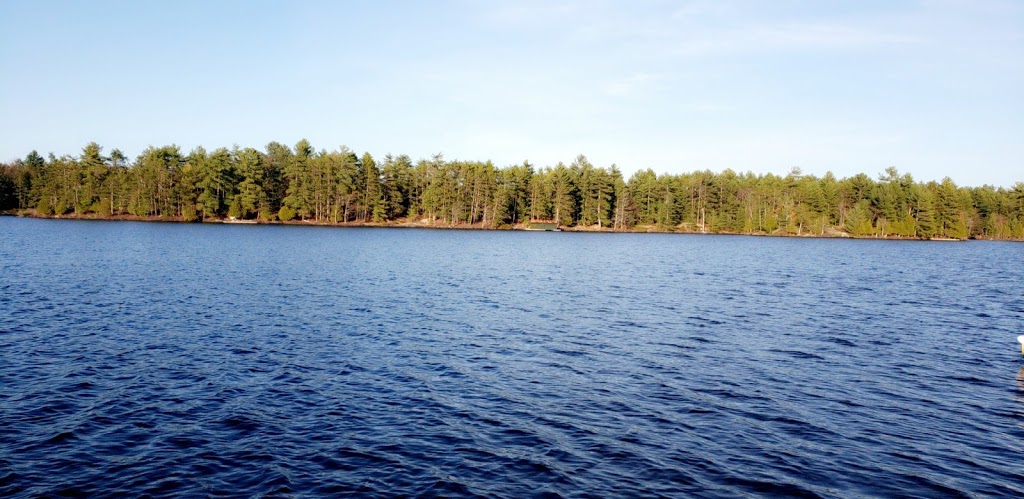 Villas Marina of Lake Muskoka | 2194 Muskoka District Road 169, Gravenhurst, ON P1P 1R2, Canada | Phone: (647) 986-4819