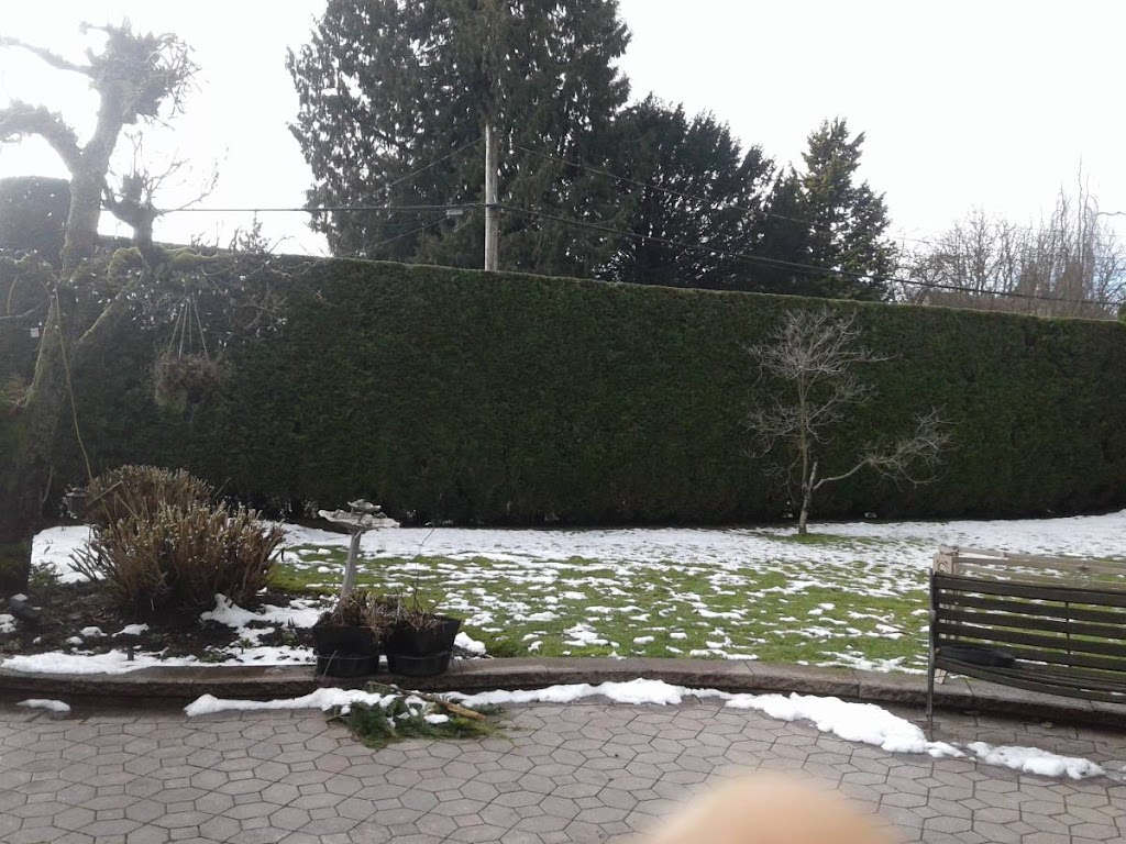 Hedge PRO Trimming | 231 Eighth St #304, New Westminster, BC V3M 3P8, Canada | Phone: (604) 417-4211