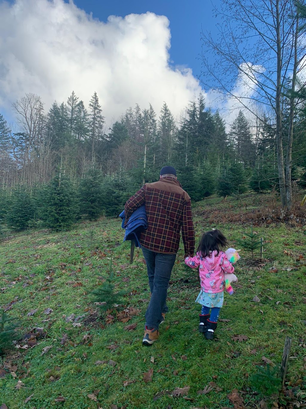 Ravenhill Christmas Trees | 6420 Hyfield Rd, Abbotsford, BC V3G 2L3, Canada | Phone: (604) 996-4204