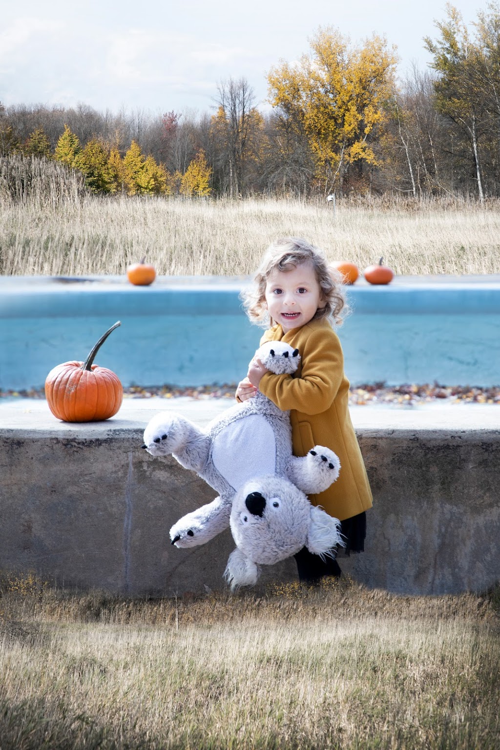 SANDRA HOFMAN | 339 Rue dOrléans, Saint-Lambert, QC J4S 1Y1, Canada | Phone: (514) 553-3522