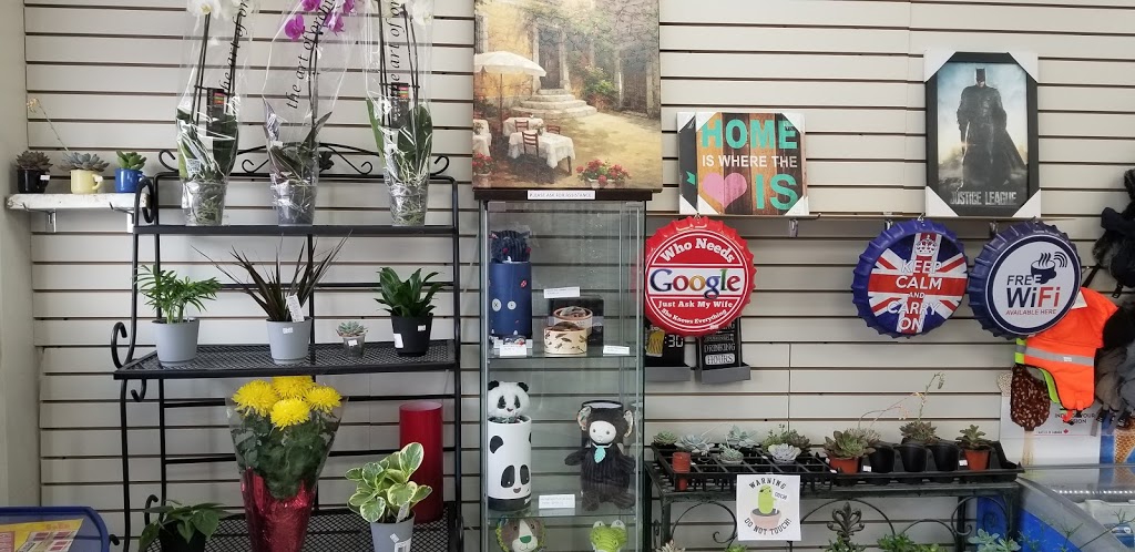 Willowdale Convenience | 184 Parkview Ave, North York, ON M2N 3Y8, Canada | Phone: (416) 221-0666