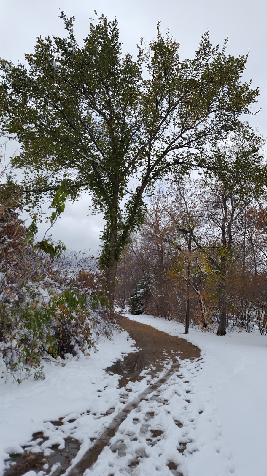 Sidney L. Buckwold Park | Boychuk Dr, Saskatoon, SK S7H 4H6, Canada