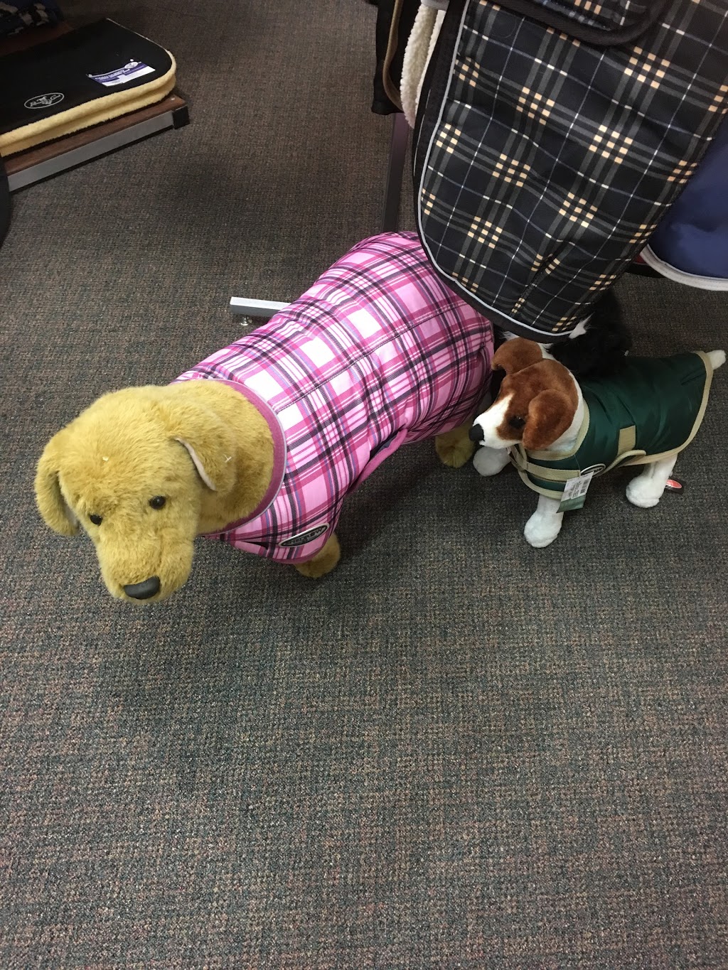 Greenhawk Harness & Equestrian Supplies | 1622 W 75th Ave, Vancouver, BC V6P 6G2, Canada | Phone: (604) 266-1644