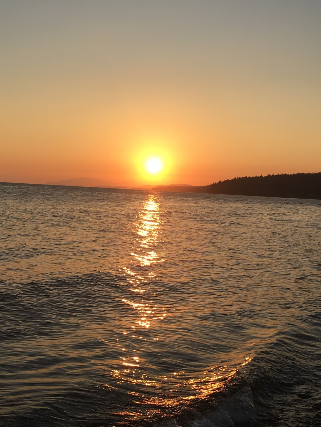 Chaster Park | 1577 Ocean Beach Esplanade, Gibsons, BC V0N 1V5, Canada | Phone: (604) 885-6800