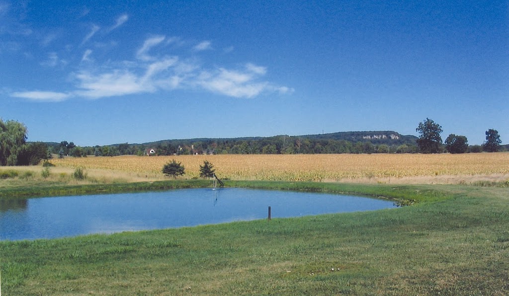 Escarpment Pet Retreat | 6449 Guelph Line, Burlington, ON L7P 0A6, Canada | Phone: (905) 333-0333