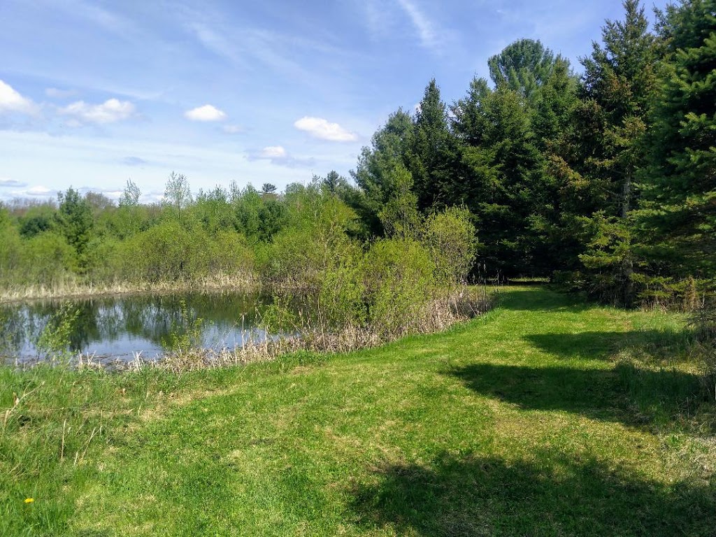 Bay Property Maintenance | 61 Meadows Ave, Waubaushene, ON L0K 2C0, Canada | Phone: (705) 538-1597
