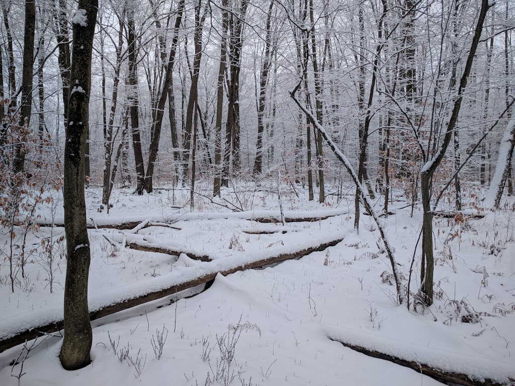 Sudden Tract | 1841 Spragues Rd, Cambridge, ON N1R 5S5, Canada