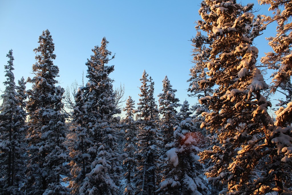 Healing Matters Psychological Services | 10 Discovery Ridge Close SW, Calgary, AB T3H 5X3, Canada | Phone: (403) 249-9337