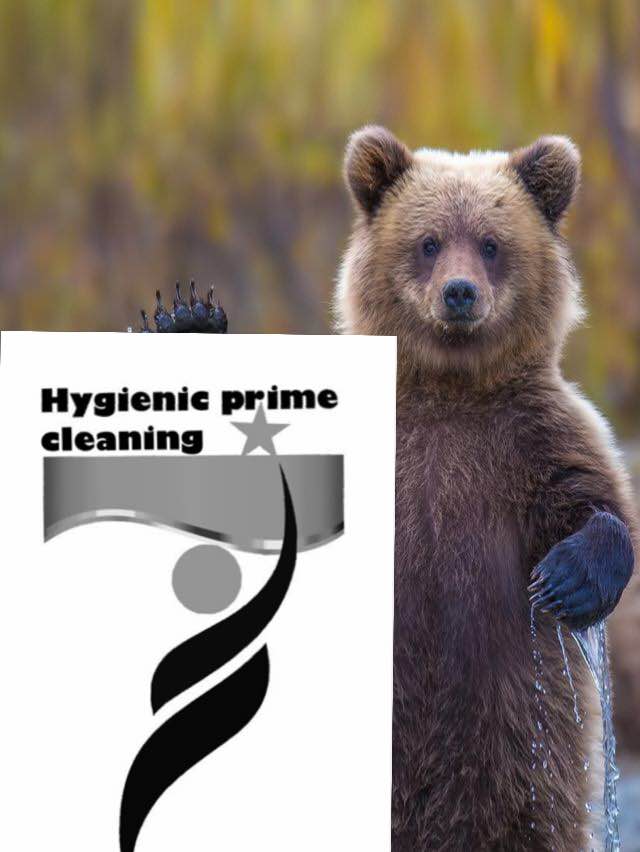 HYGIENIC PRIME CLEANING | 268 Denne Crescent, Peterborough, ON K9J 1A2, Canada | Phone: (647) 909-0151