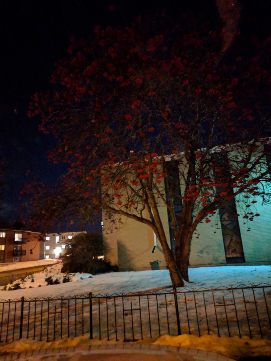 St. Clare Catholic Parish | 6310 118 Ave NW, Edmonton, AB T5W 1G1, Canada | Phone: (780) 471-2353