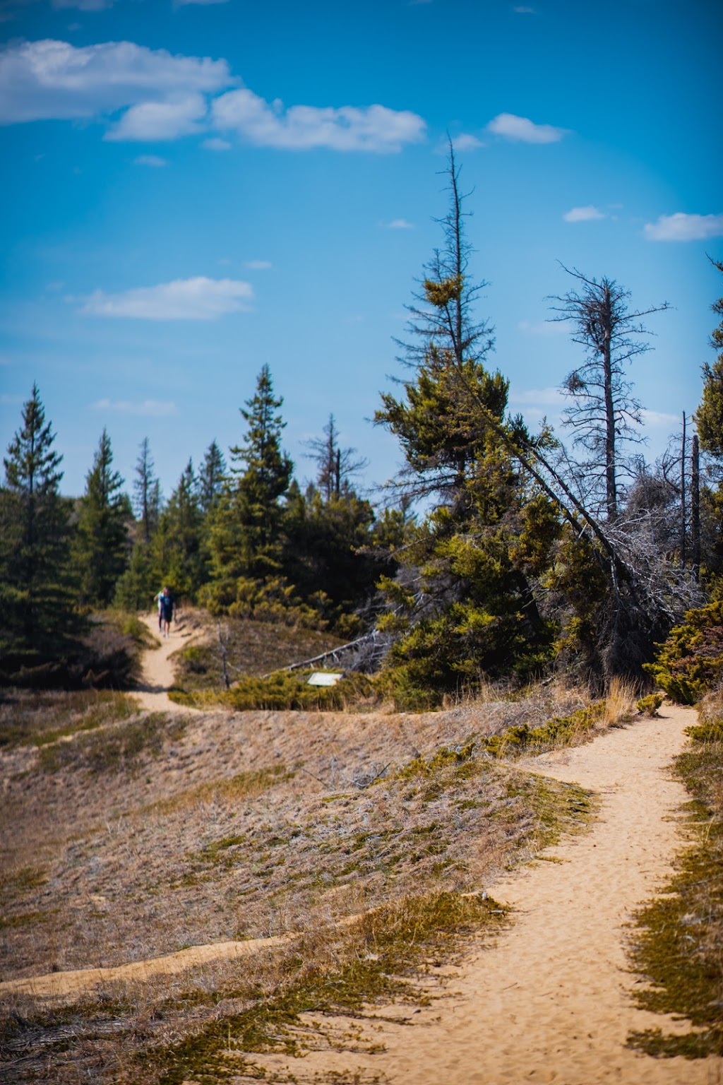 Spruce Woods Provincial Park | Carberry, MB R0K 0H0, Canada | Phone: (204) 827-8850