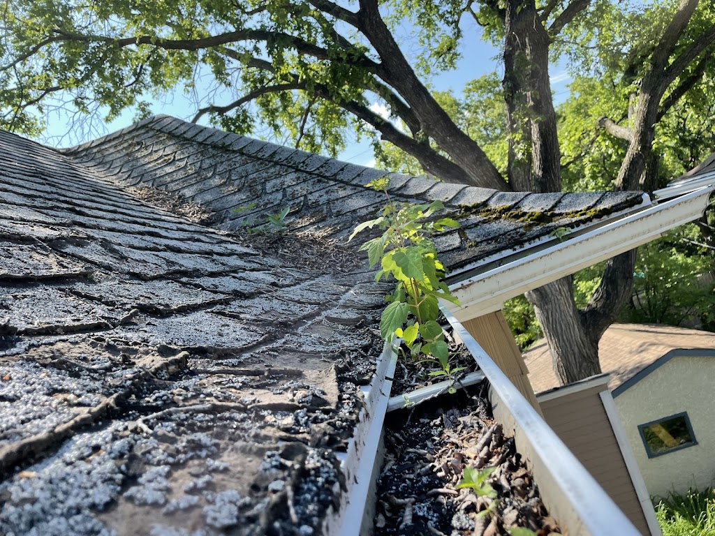 Above & Beyond Property Maintenance | 882 Bannerman Ave, Winnipeg, MB R2X 1K1, Canada | Phone: (204) 803-2530