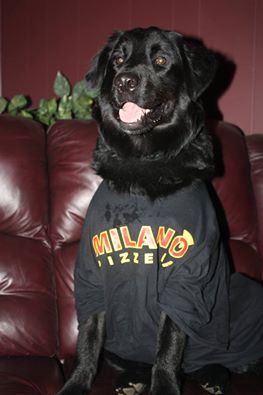 Milano Pizzeria | 5516 Osgoode Main St, Osgoode, ON K0A 2W0, Canada | Phone: (613) 826-3333