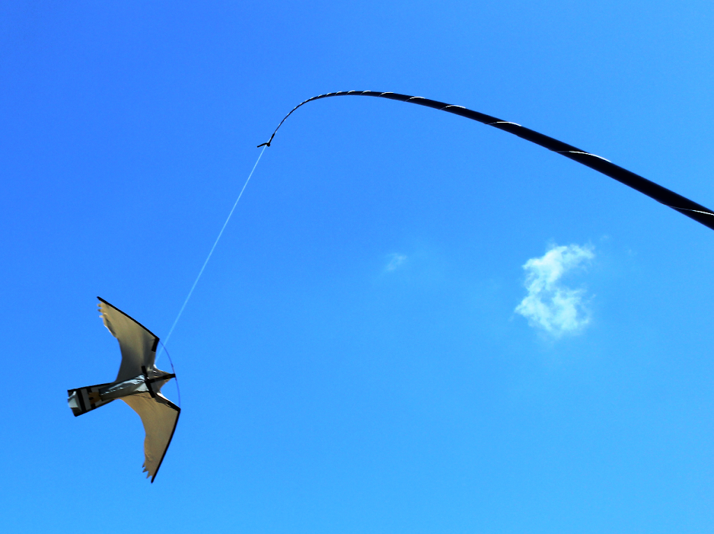 Hawk Kite Sales | 9800 Giants Head Rd, Summerland, BC V0H 1Z7, Canada | Phone: (250) 404-0318