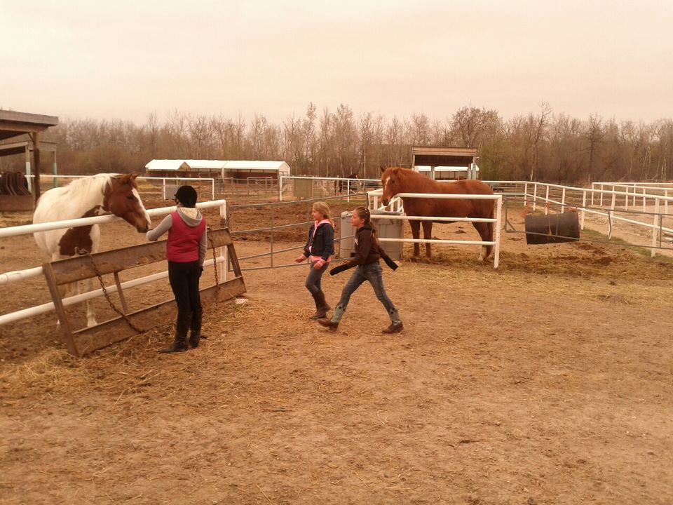W W Stables | 1356 McCreary Rd, Winnipeg, MB R3P 0M7, Canada | Phone: (204) 895-7106