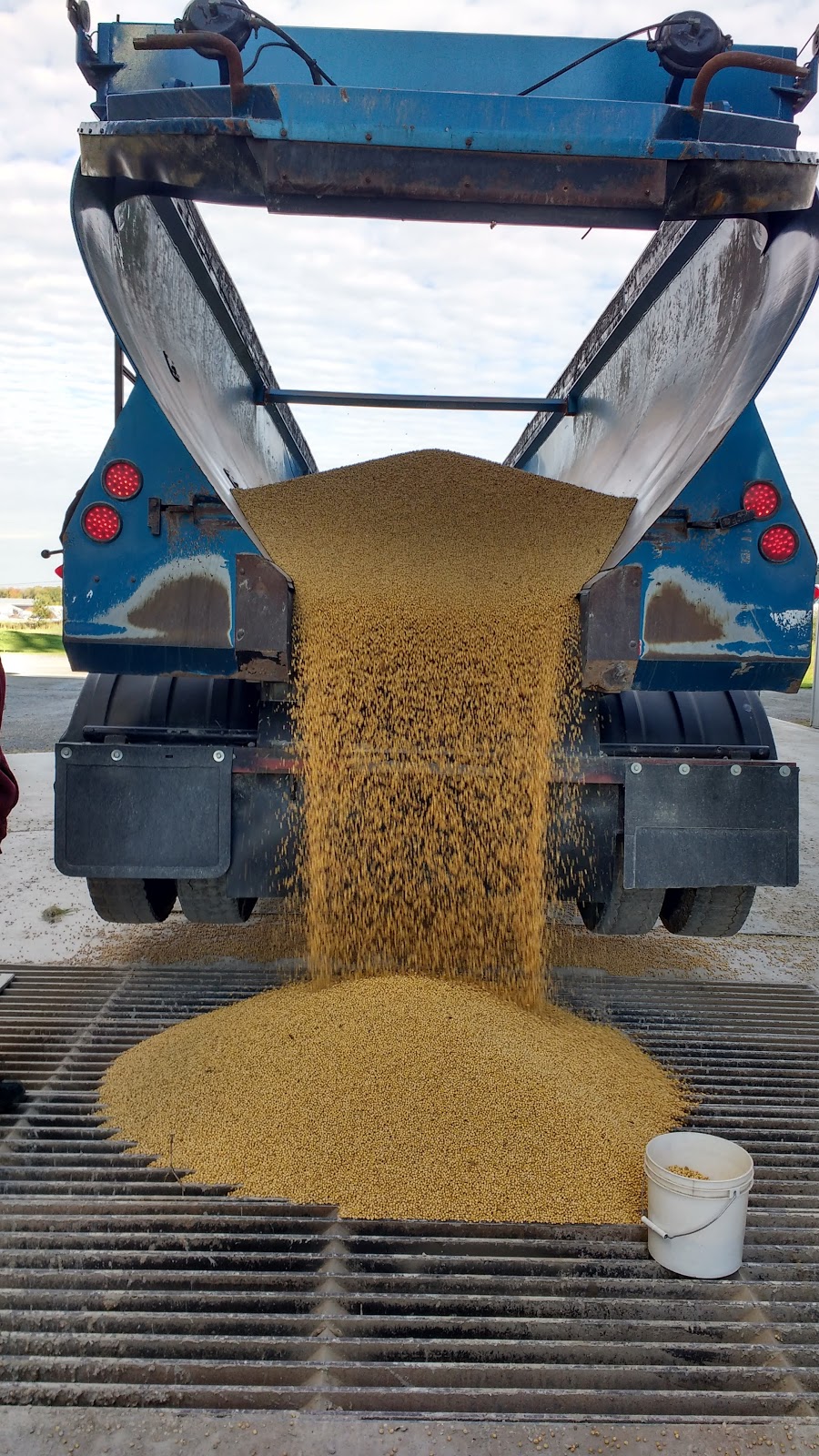 Reesor Elevators - Port Perry | 1256 Scugog Line 6, Port Perry, ON L9L 1B5, Canada | Phone: (905) 985-7007