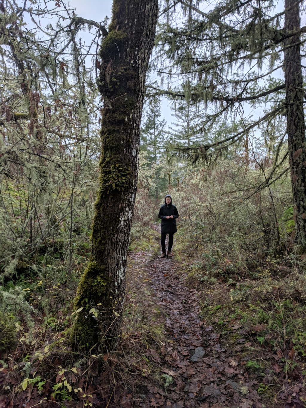 Bear Hill Summit | 6102 Central Saanich Rd, Victoria, BC V8Z 5T7, Canada
