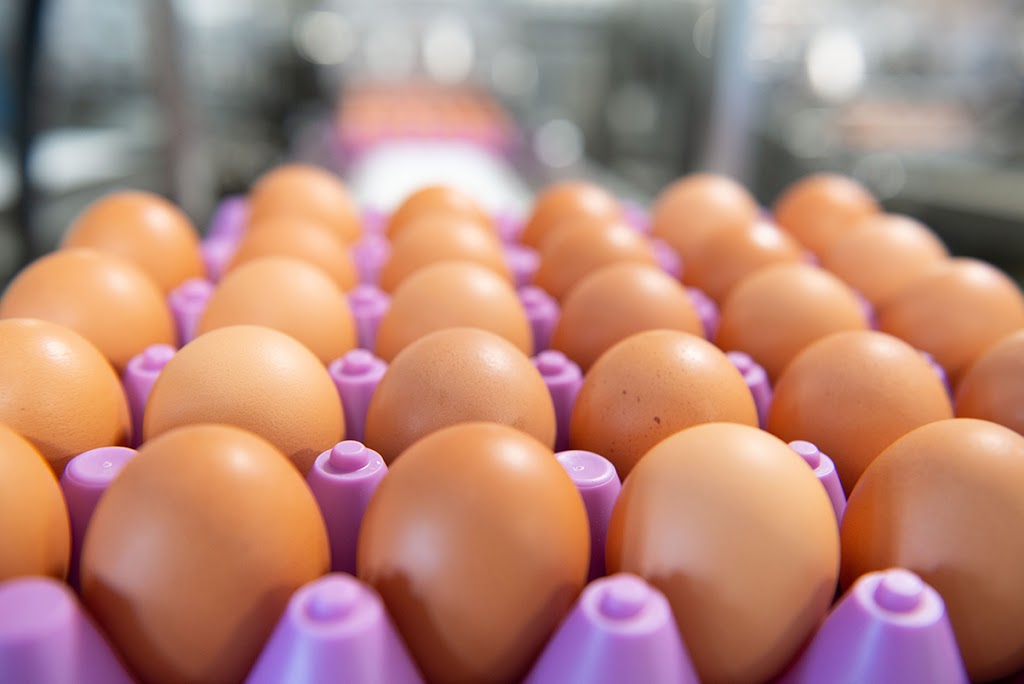 Nature Plus Eggs | 6880 Line 86, Elmira, ON N3B 2Z3, Canada | Phone: (519) 998-2570