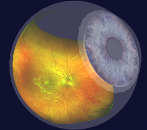 Dr. David Cranton Optometrist | 167 Bentwood Dr, Thunder Bay, ON P7A 7A5, Canada | Phone: (807) 345-3455