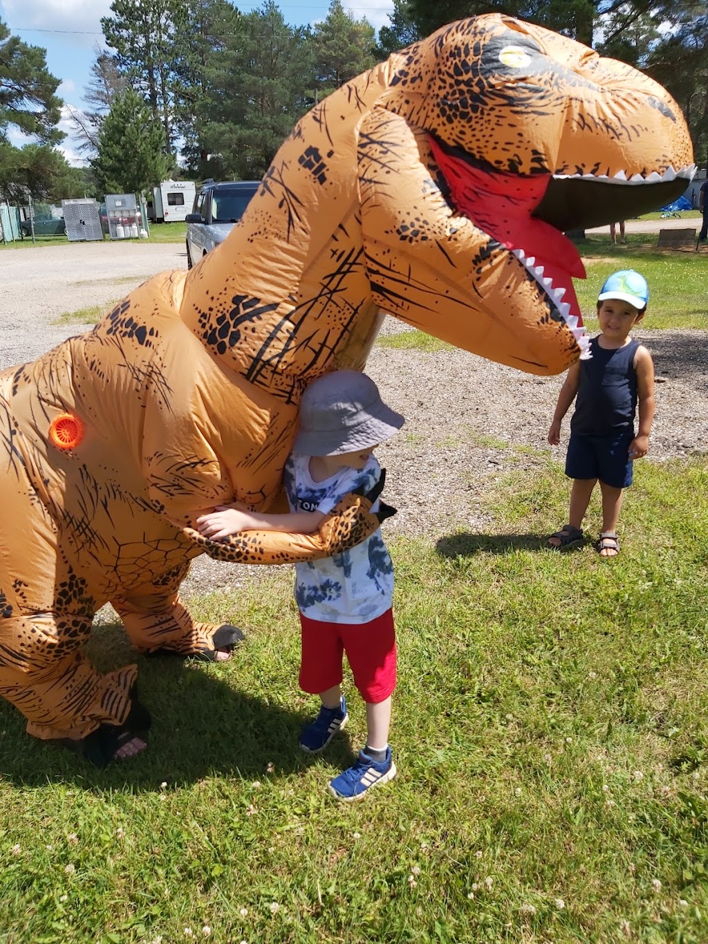 Riverland Lodge & Camp | 25141 ON-60, Madawaska, ON K0J 2C0, Canada | Phone: (613) 637-5338
