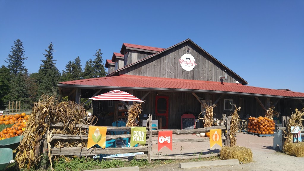 Murphys Farm Market & Bakery | 5141 County Rd 10, Alliston, ON L9R 1V2, Canada | Phone: (705) 435-2141