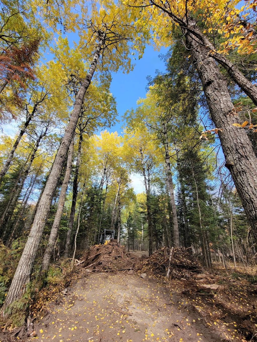 Lazy Loon | Dorchester Ave, Pinawa, MB R0E 1L0, Canada | Phone: (204) 340-3368