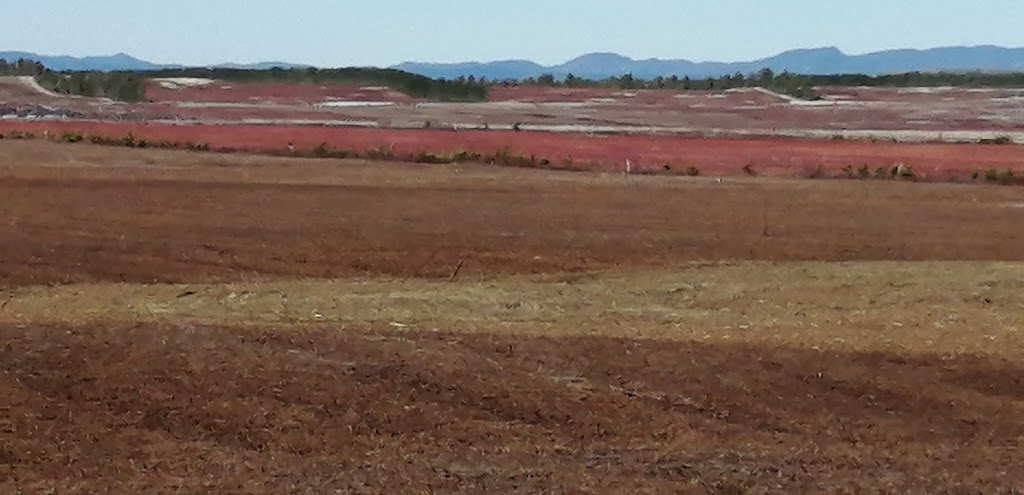 Syndicat Des Producteurs De Bleuets Du Québec | 112 Av. de lÉglise #207, Dolbeau-Mistassini, QC G8L 4P4, Canada | Phone: (418) 276-6336