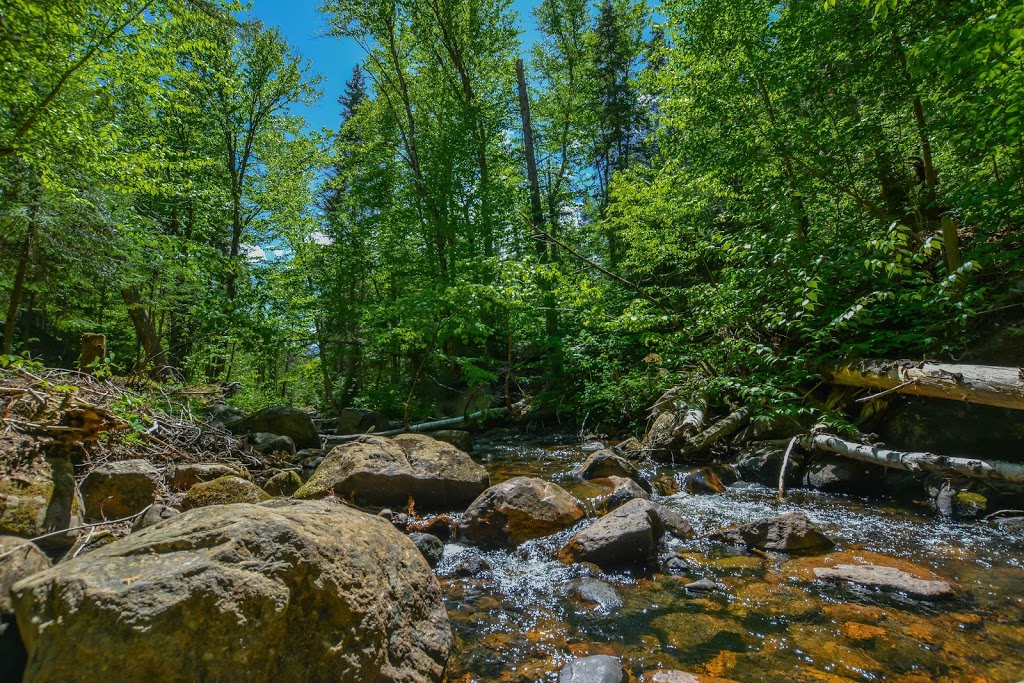 Accès Nōr | 1685 route 125 Sud, Saint-Donat, QC J0T 2C0, Canada | Phone: (819) 216-5634
