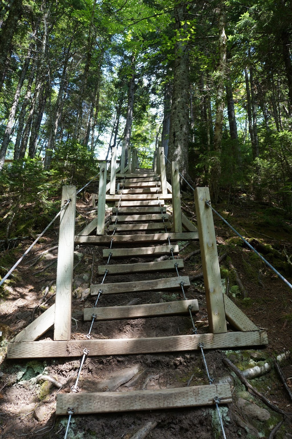 Fundy Trail Parkway | 3 Fundy Trail Pkwy, Salmon River, NB E5R 0B3, Canada | Phone: (506) 833-2019