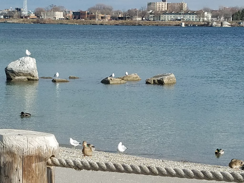 Blue Water River Walk | 51 Water St, Port Huron, MI 48060, USA | Phone: (810) 294-4965