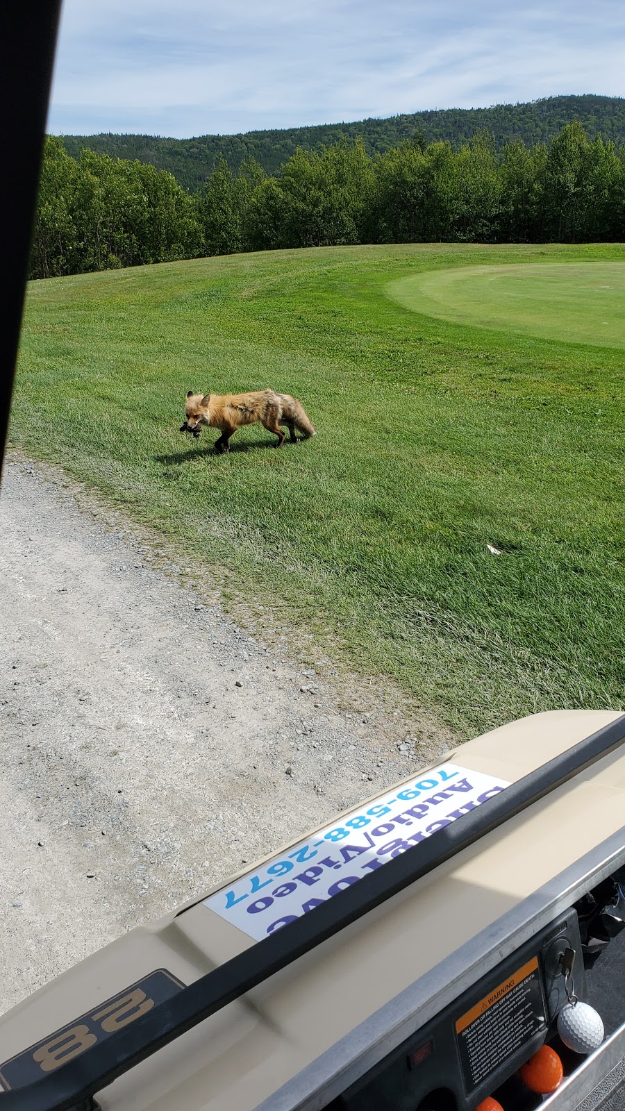 Pitchers Pond Golf Course | Whiteway, NL A0B 2A0, Canada | Phone: (709) 588-4653