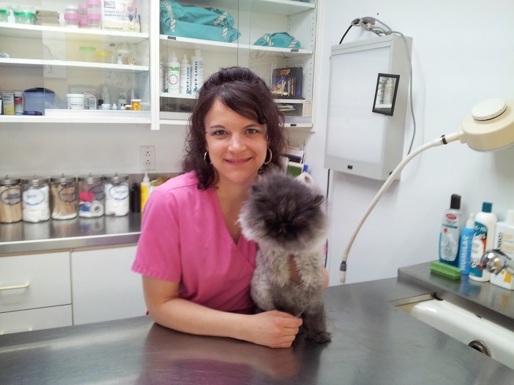 Clinique Vétérinaire St-Martin | 220 Rue de Verceil, Laval, QC H7M 1Y1, Canada | Phone: (450) 669-1844