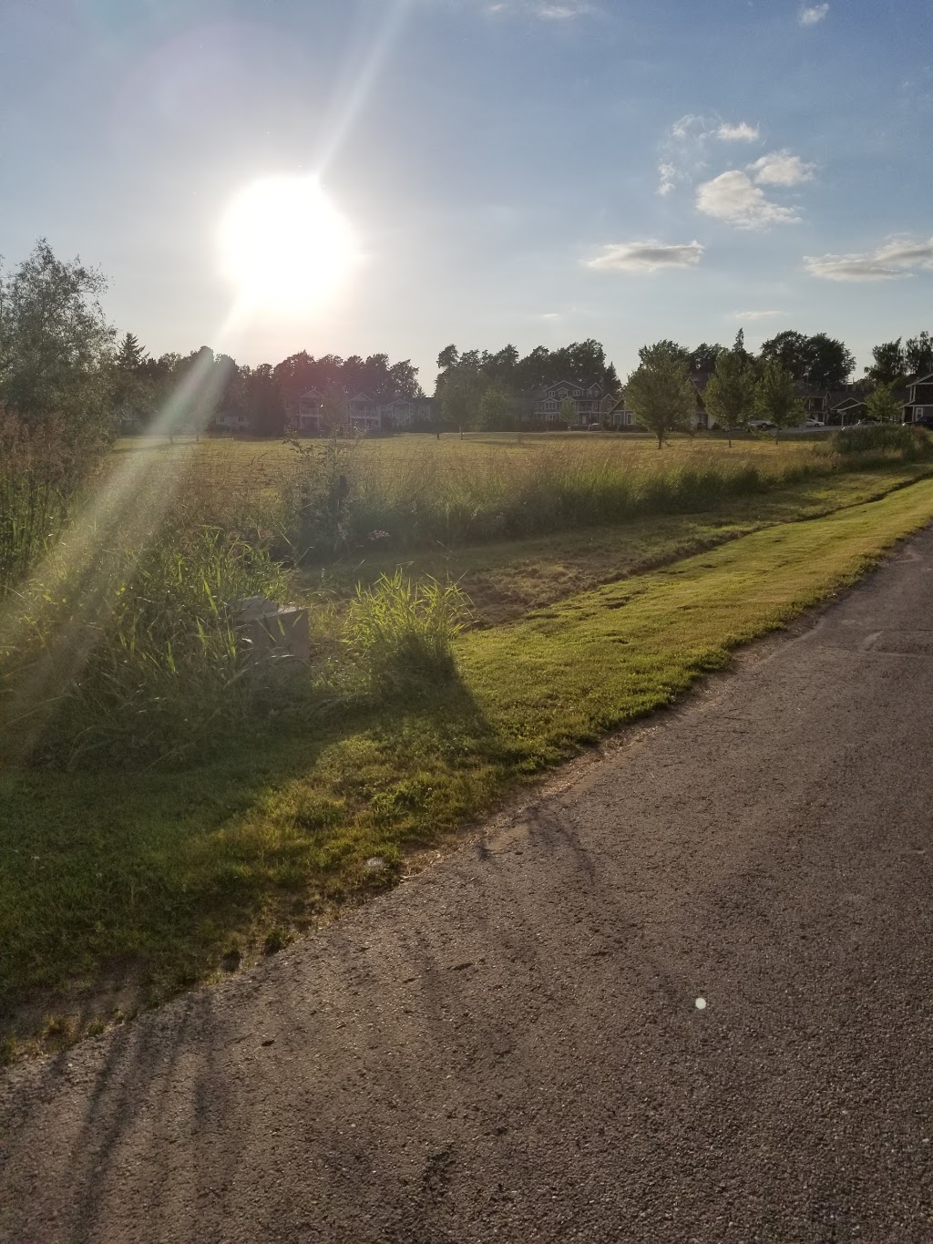 PATTERSON PARK | 725 Judson St, Lynden, WA 98264, USA