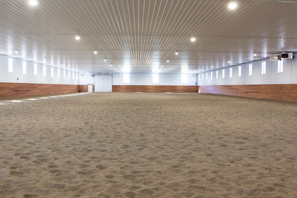 The Horse Palace | 6221 Ha Ha Creek Rd, Wardner, BC V0B 2J0, Canada | Phone: (250) 464-0606
