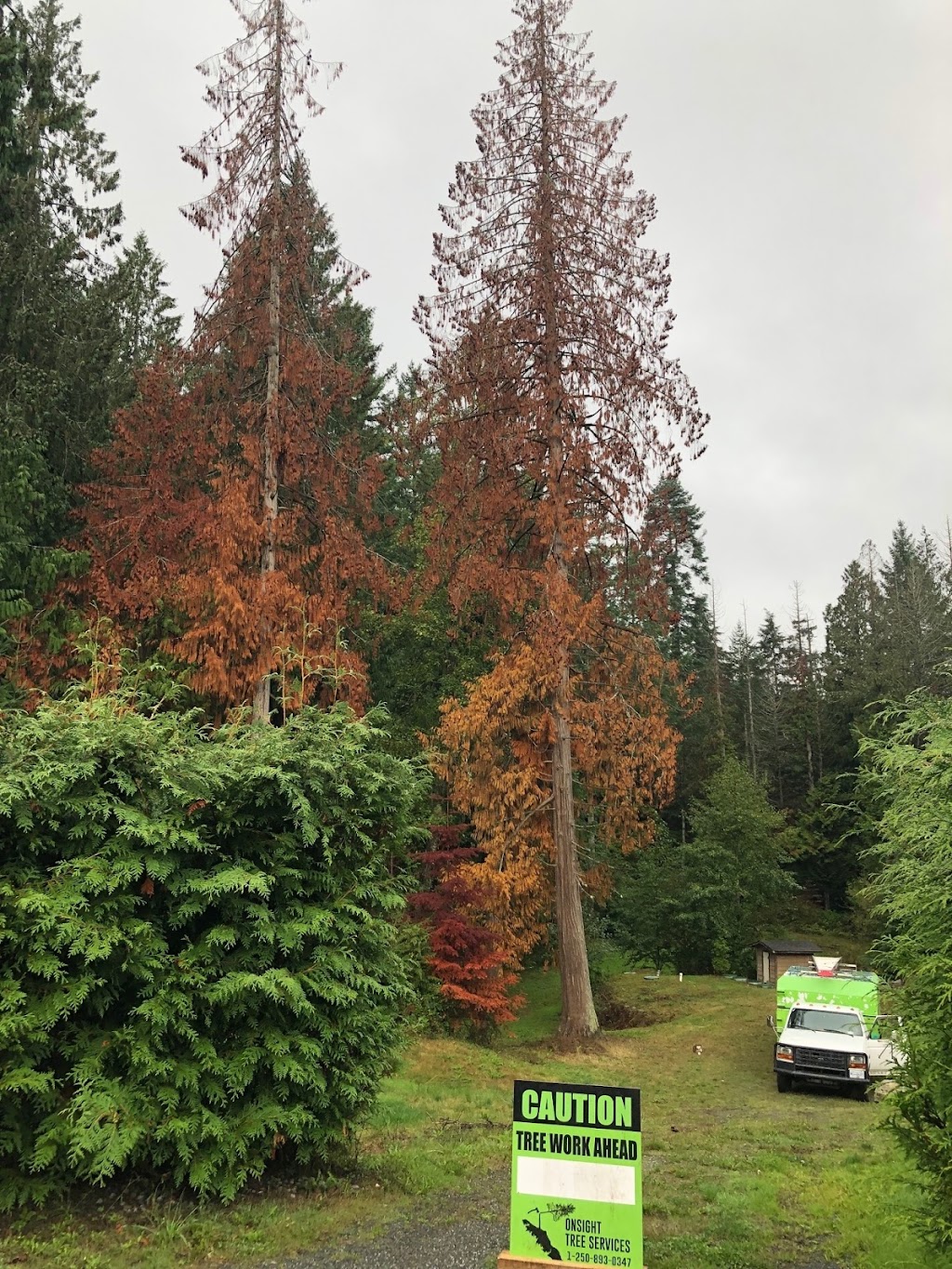 Onsight Tree Services | 5378 Winchester Rd, Sahtlam, BC V9L 6G1, Canada | Phone: (250) 893-0347