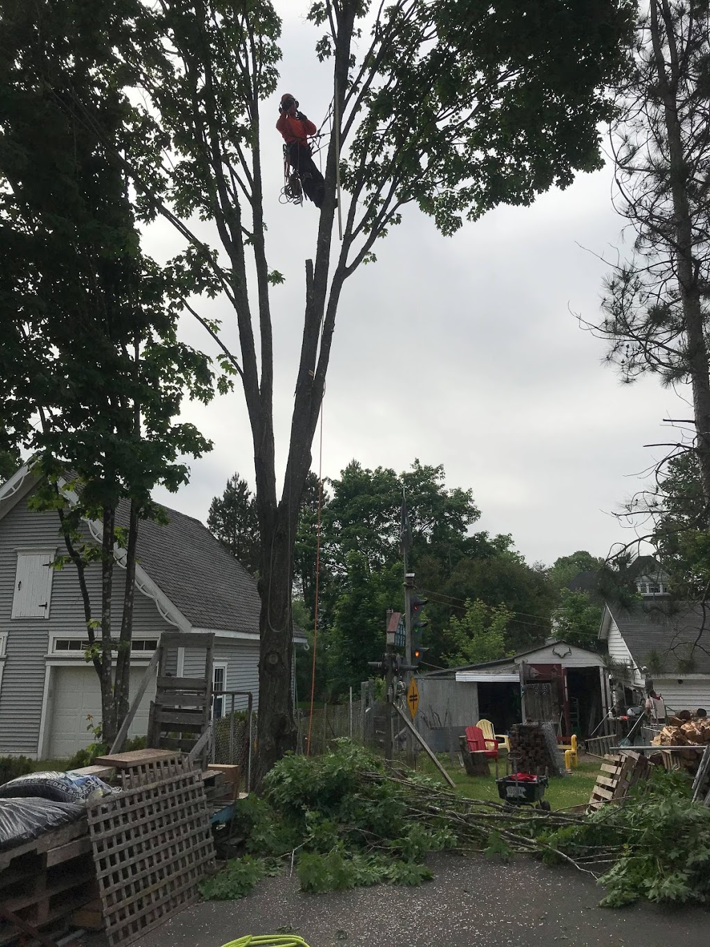 Silvacare Tree Service | point of interest | 2481 Wyvern Rd, River Philip, NS B0M 1V0, Canada | 9029065408 OR +1 902-906-5408