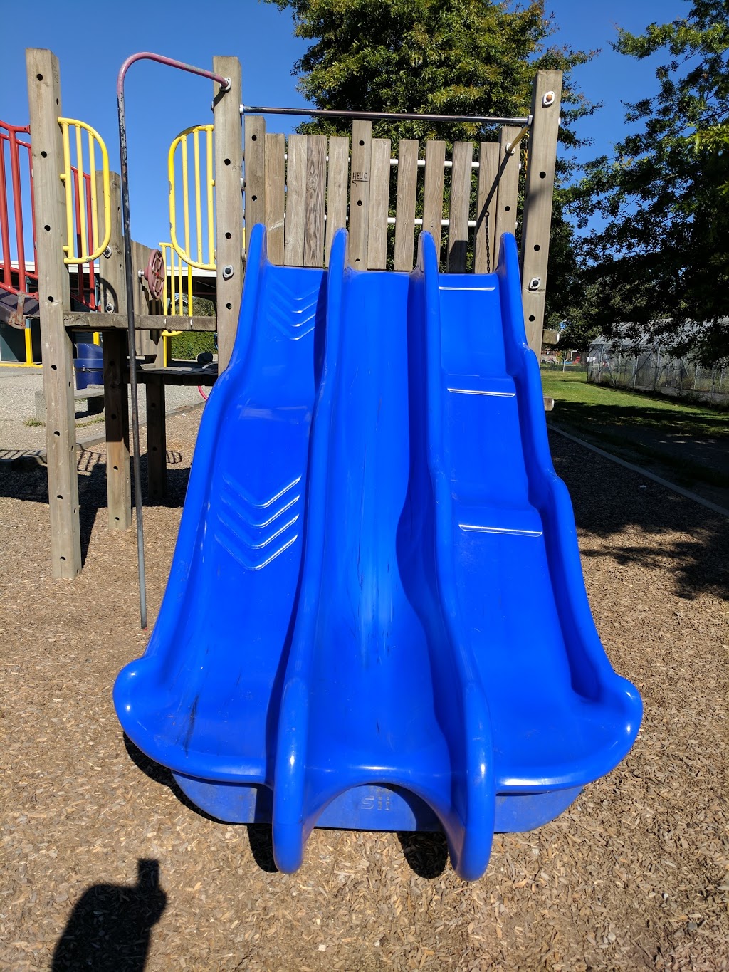 Ladner Elementary | 5016 44 Ave, Delta, BC V4K 1C1, Canada | Phone: (604) 946-4158
