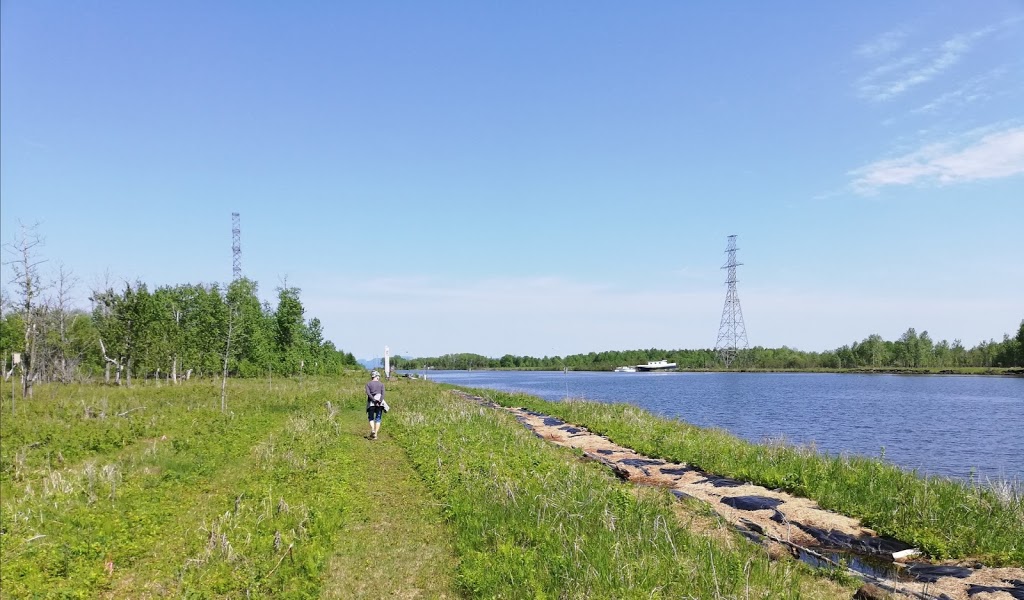 McKellar Island Bird Observatory | Baffin St, Thunder Bay, ON P7E 0A3, Canada | Phone: (807) 709-6870