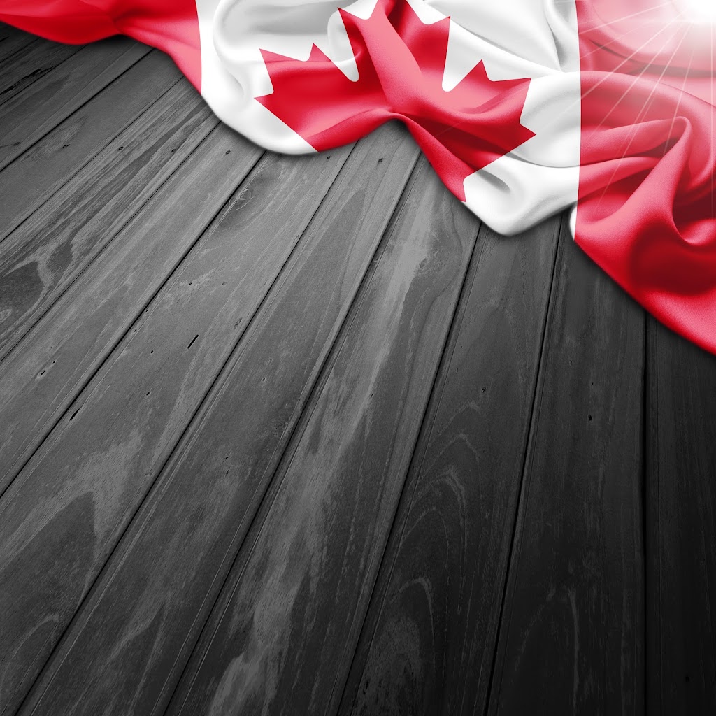Caninvisas Immigrations | 7254 Torrisdale Ln, Mississauga, ON L5N 7Y9, Canada | Phone: (647) 786-8971