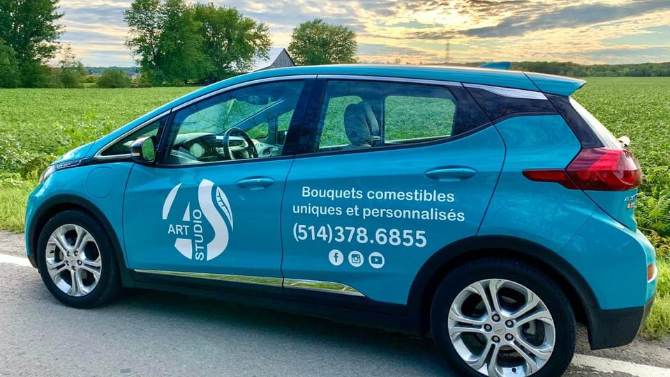 Art Studio / Aliona Stejar | 260-B Chem. des Anglais, Mascouche, QC J7L 3P2, Canada | Phone: (514) 378-6855