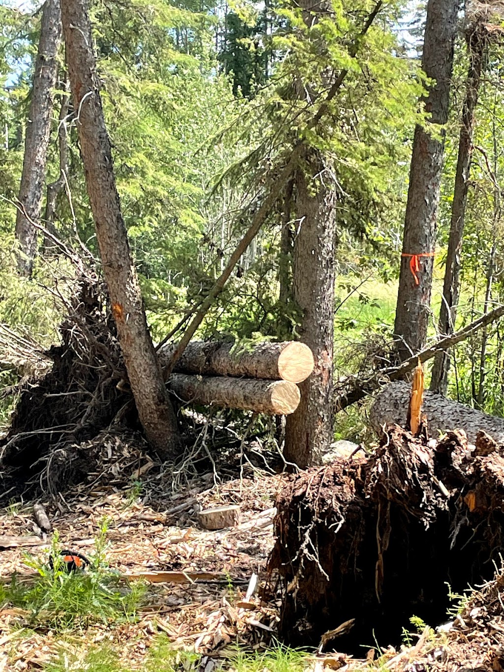 woodspot | 93 21546 Twp Rd 520, Alberta T8E 1G5, Canada | Phone: (780) 991-5553