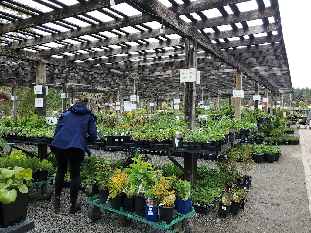 B Dinter Nursery Ltd | 2205 Phipps Rd, Duncan, BC V9L 6L2, Canada | Phone: (250) 748-2023
