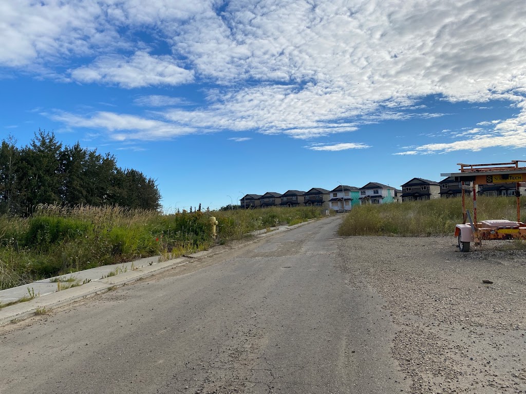 Murrays Tree Farm | Hwy 627 & Golf Course Rd, Stony Plain, AB T7Z 2A4, Canada | Phone: (780) 963-2270